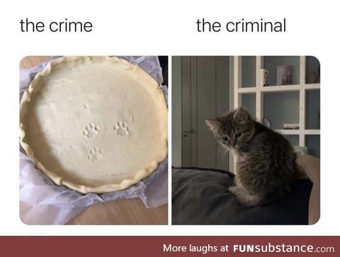 Claw enforcement says he was pawsibly decorating the pie