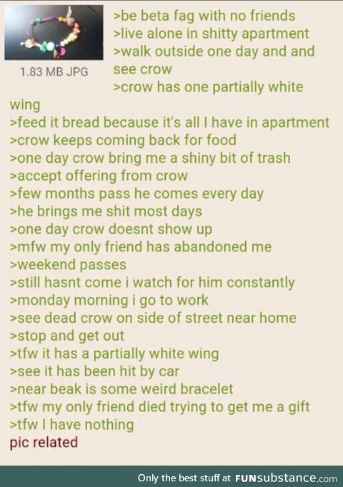 Anon domesticates a crow