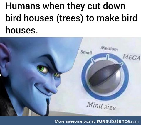 Those birds will thank us later