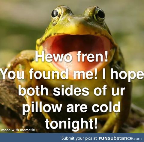 Hewo froggie