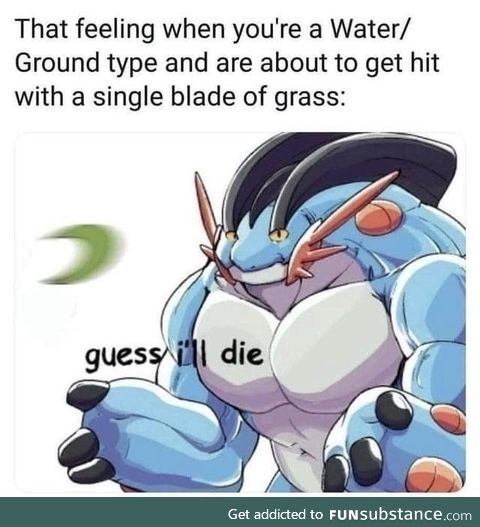 Imagine using Water and Ground pokemon