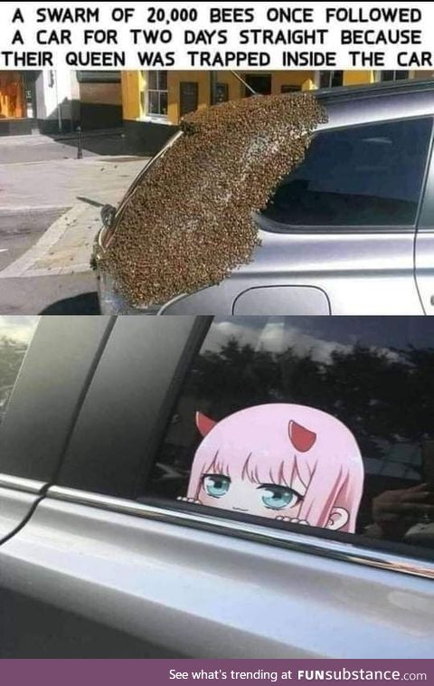 Zero two UwU