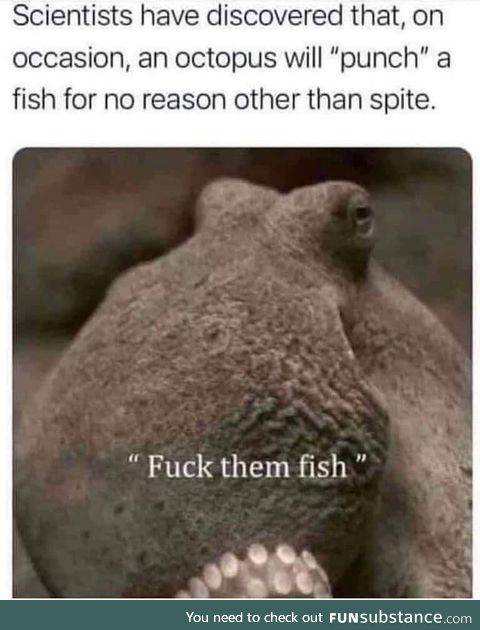 F%#k that fish!