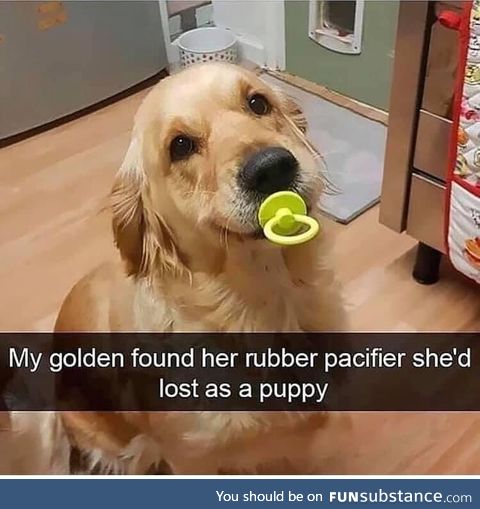 I pacifically like golden retrievers