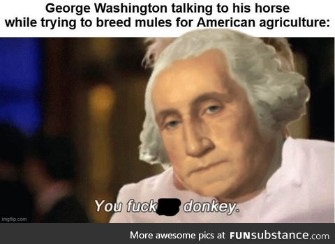 Do as General Washington commands; Nobody makes an ass out of him