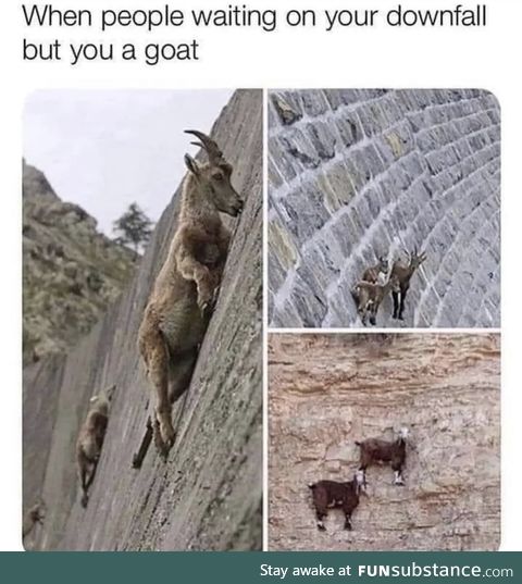 I’m a freaking goat