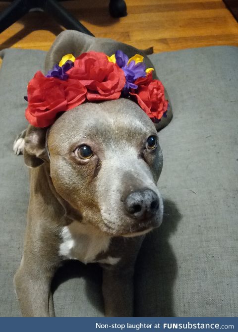 flower girl