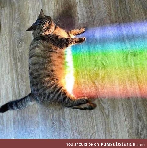 The original Nyan Cat