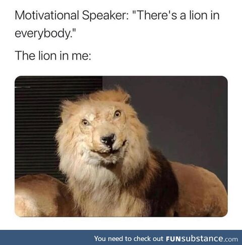 Retarded lion