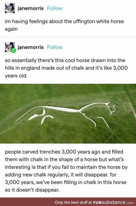 Building Horses Made of Chalk