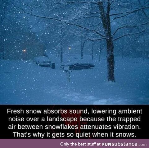 Why it gets quiet when it snows