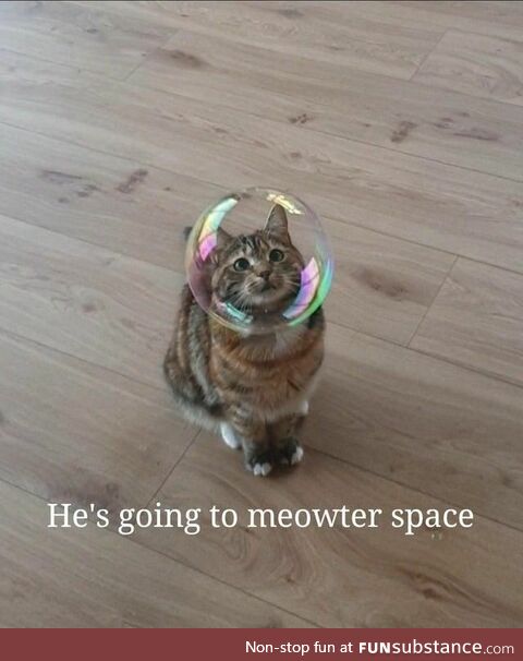 Meowter Space