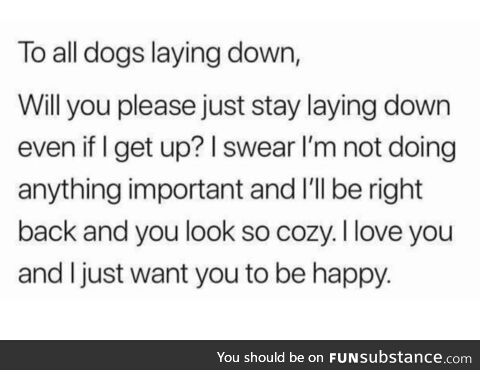 Dear doggos