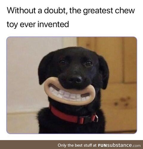 Dog dentures