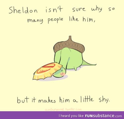 Shy Sheldon