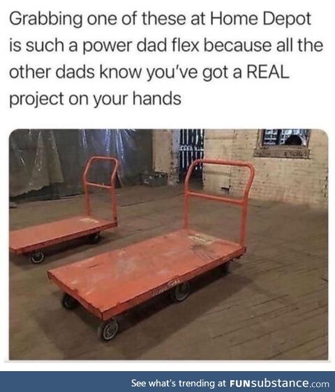 Dad flex