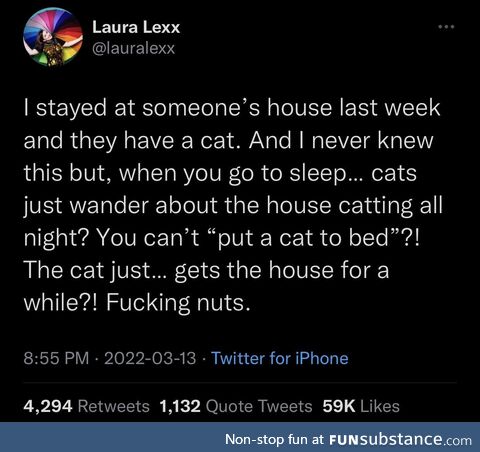 What did OP think cats do at night?