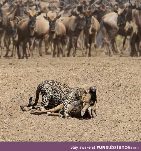 Guys watching their drunk friend going home with a cougar