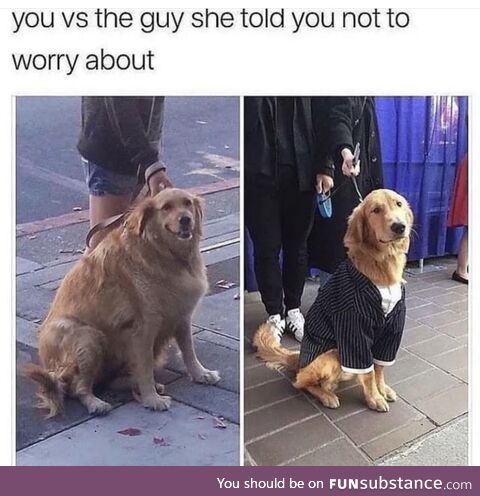 He’s a golden boi