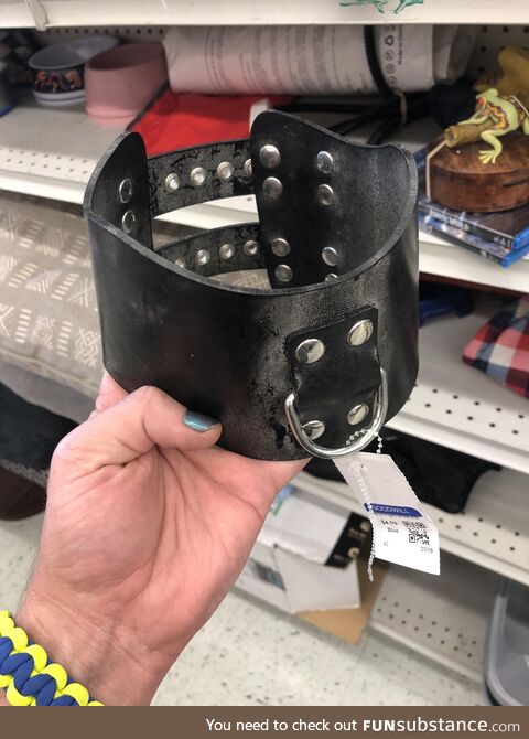 Found among the dog accessories at Goodwill…