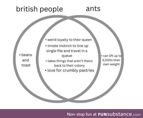 Brits vs Ants