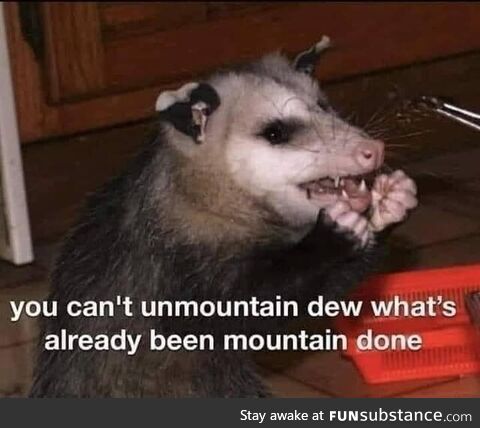 Haha, possum memes