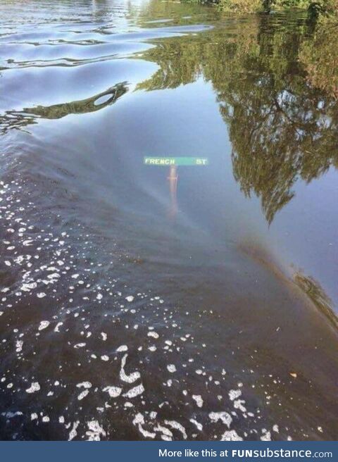 The great flood of Paris