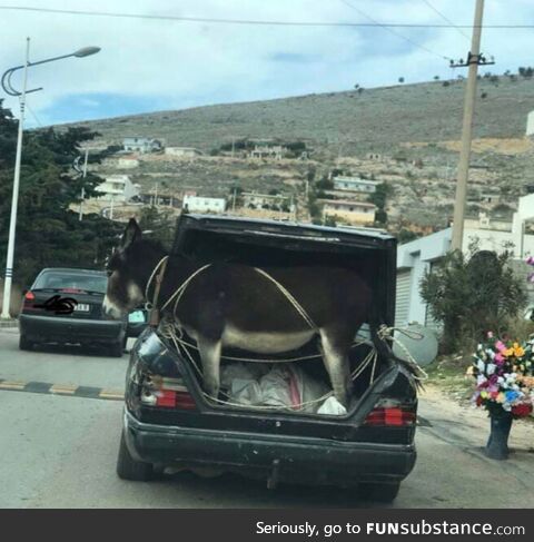 Dude literally hauling ass