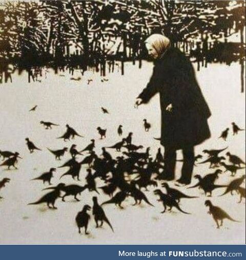 Woman feeds chickens in Chernobyl