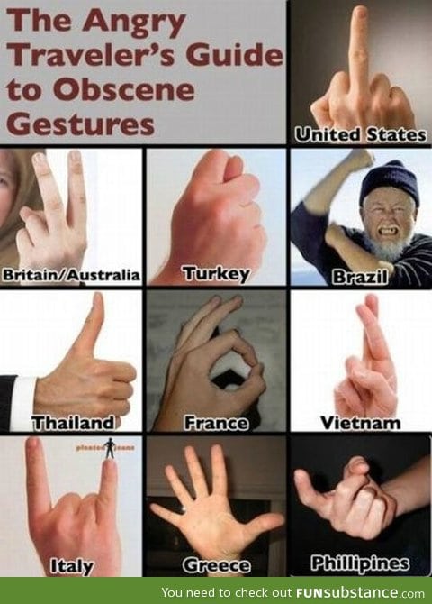 Guide To Obscene Gestures