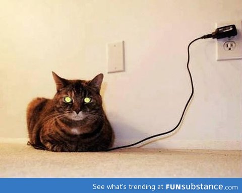 how i charge my cat