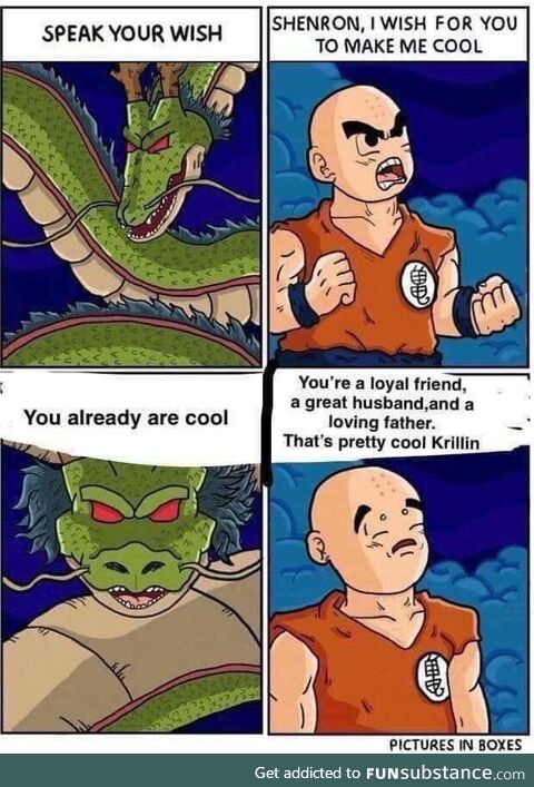 Aww Krillin IS cool