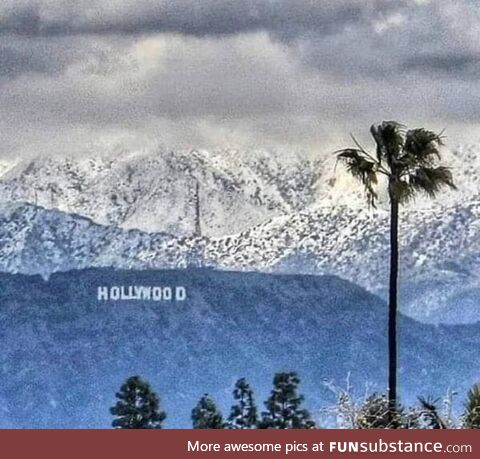 Snow covered Hollywood