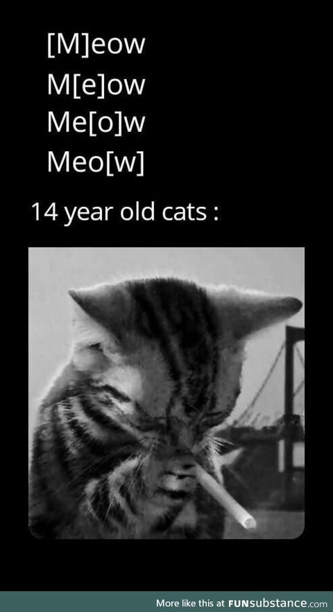 Sad meow