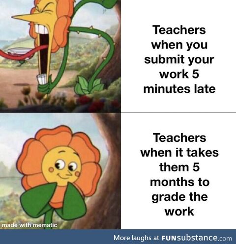 Pesky teachers