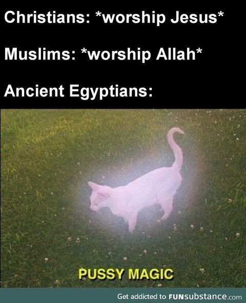 All hail the Cat God