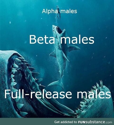 DLC males too