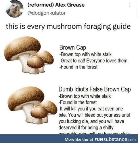 Mushrooms aren't even any good