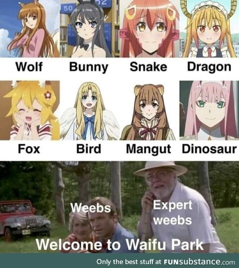 Waifu styles