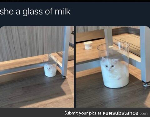 Cats are in fact a liquid