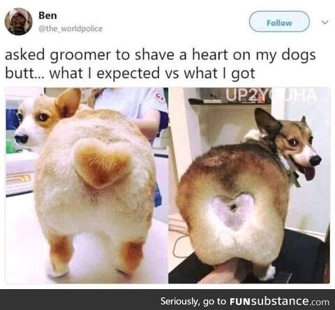 Dang groomer