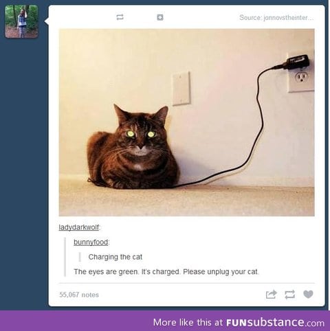 charging the cat