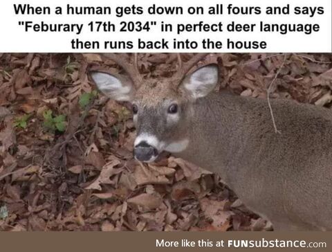 Deer can be schizo too