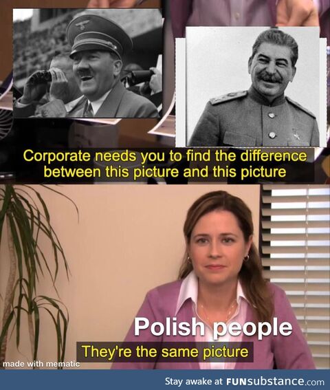 They're the same picture, polish people be like