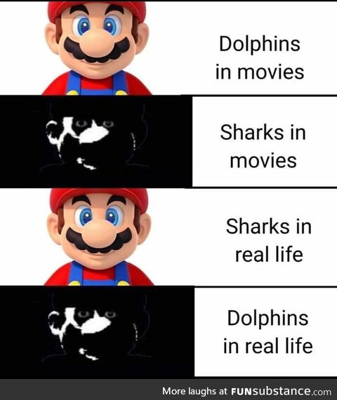 Dolphins