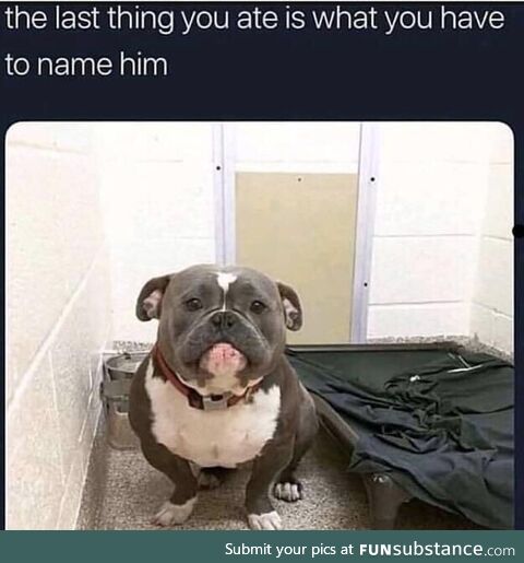 The last thing you ate is what you have to name him