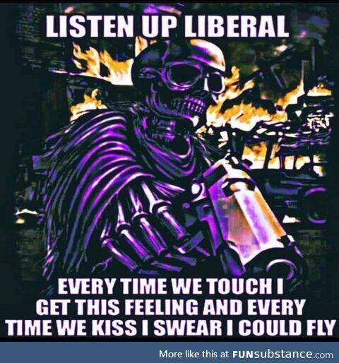 Get btfo libtards