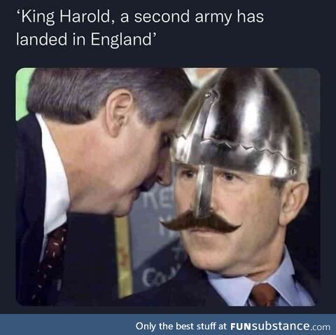 King Harald, a second army has landed in England