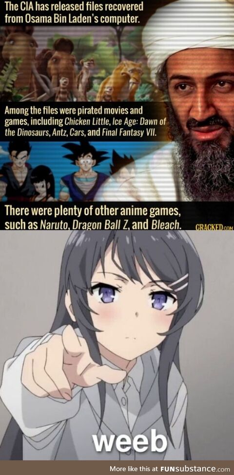 Bin Laden-kun was a weeb