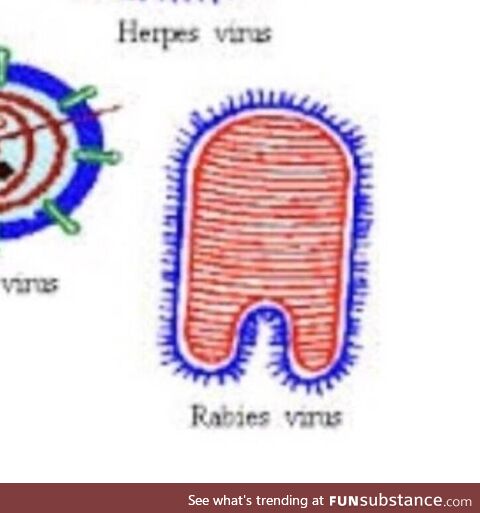 Biology just fuсkin with us